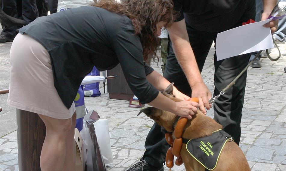 2019-6-6-1026HK_kynologická soutěž5.JPG